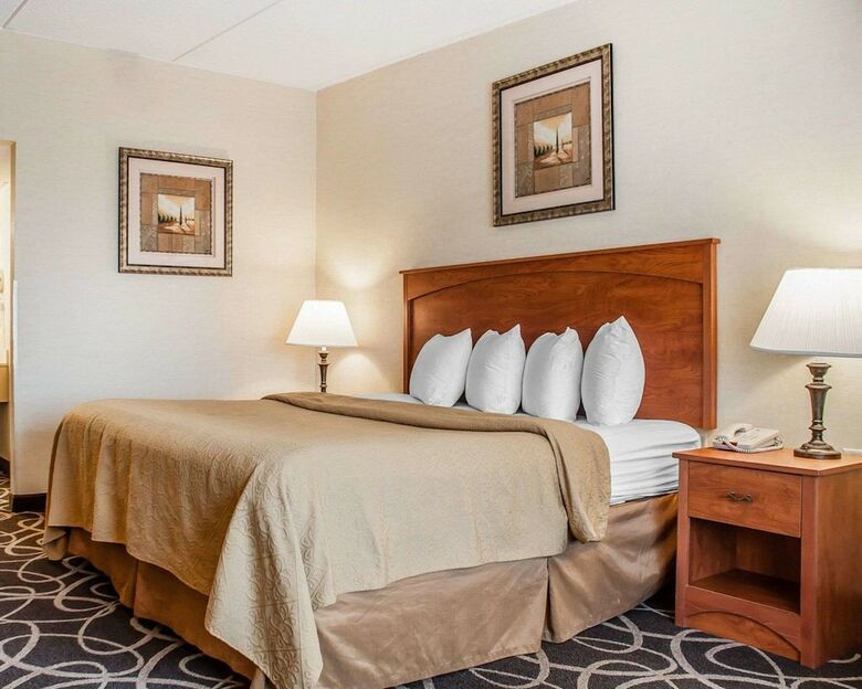 Quality Hotel & Suites At The Falls