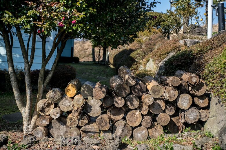 Pension Jeju Nollmung