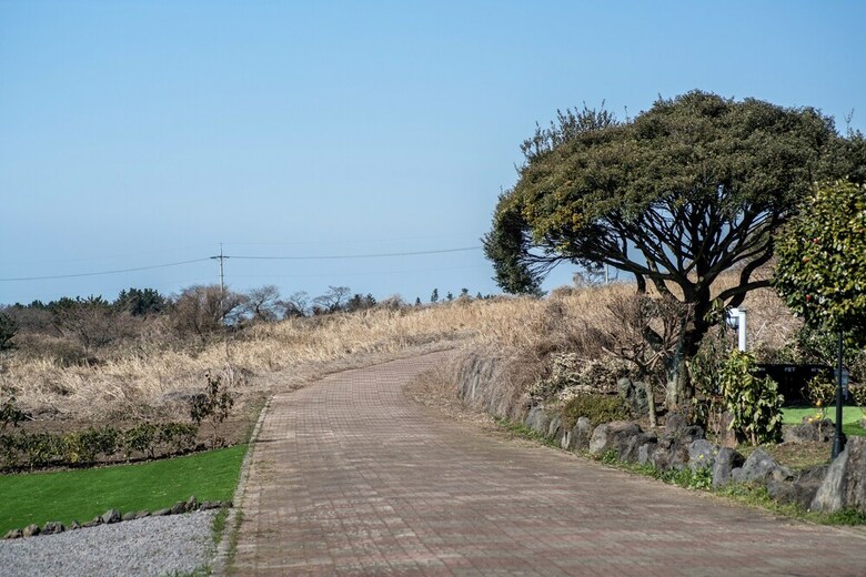 Pension Jeju Nollmung