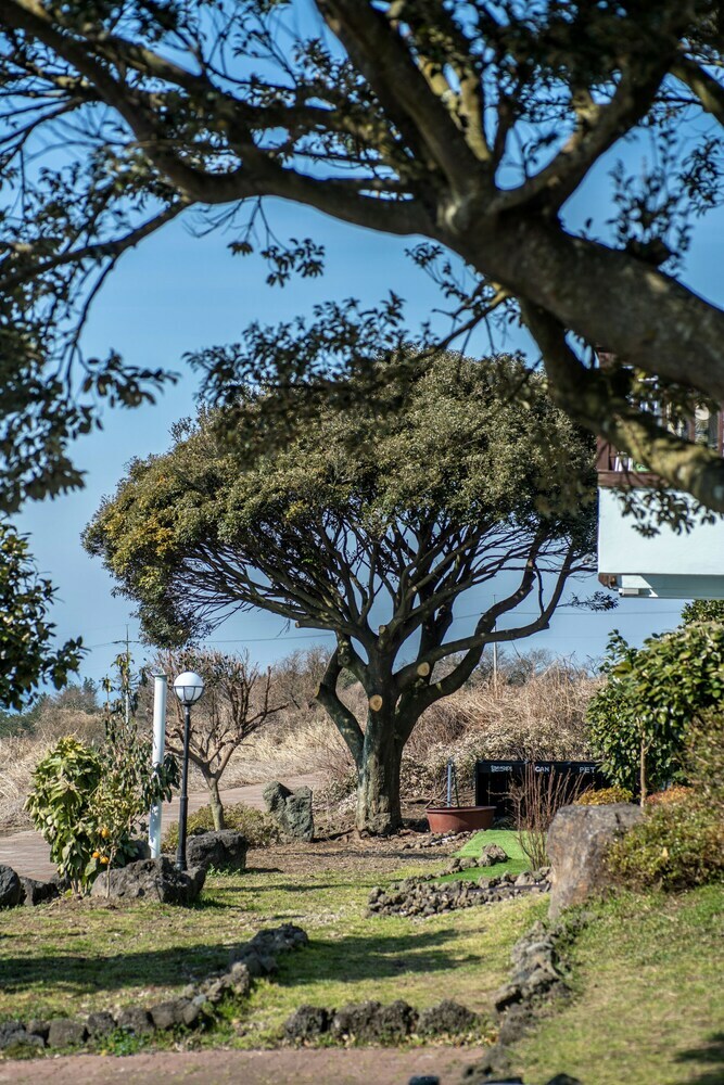 Pension Jeju Nollmung