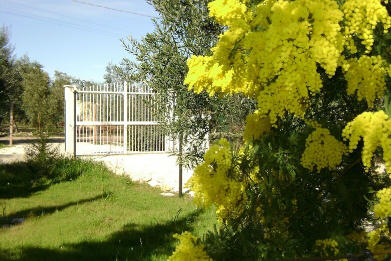 B&B Villa M�diterran�e
