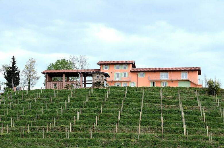 Agroturismo Casali Del Picchio - Winery