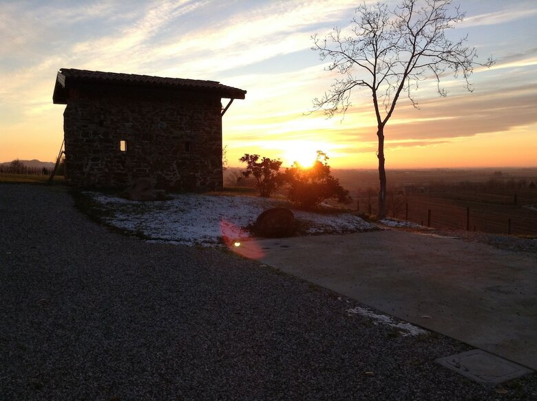 Agroturismo Casali Del Picchio - Winery