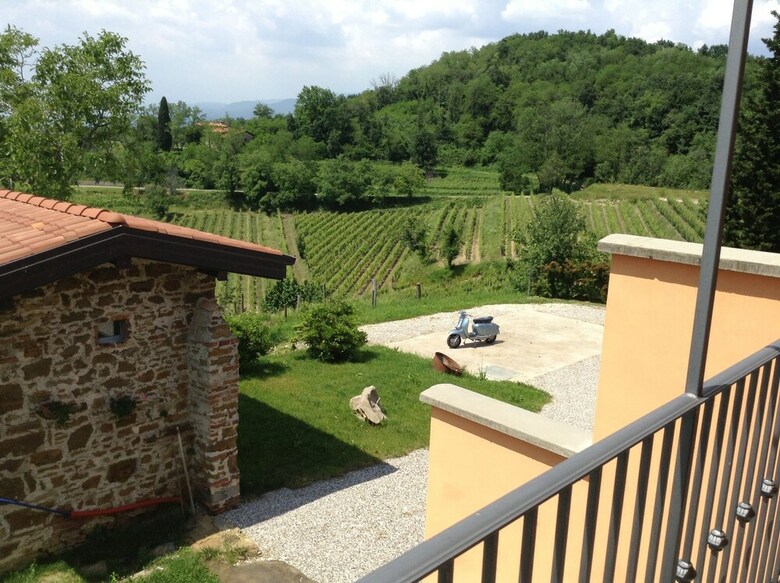 Agroturismo Casali Del Picchio - Winery