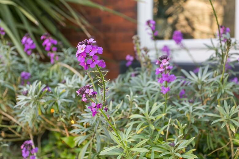 The Rosebery Boutique Hotel