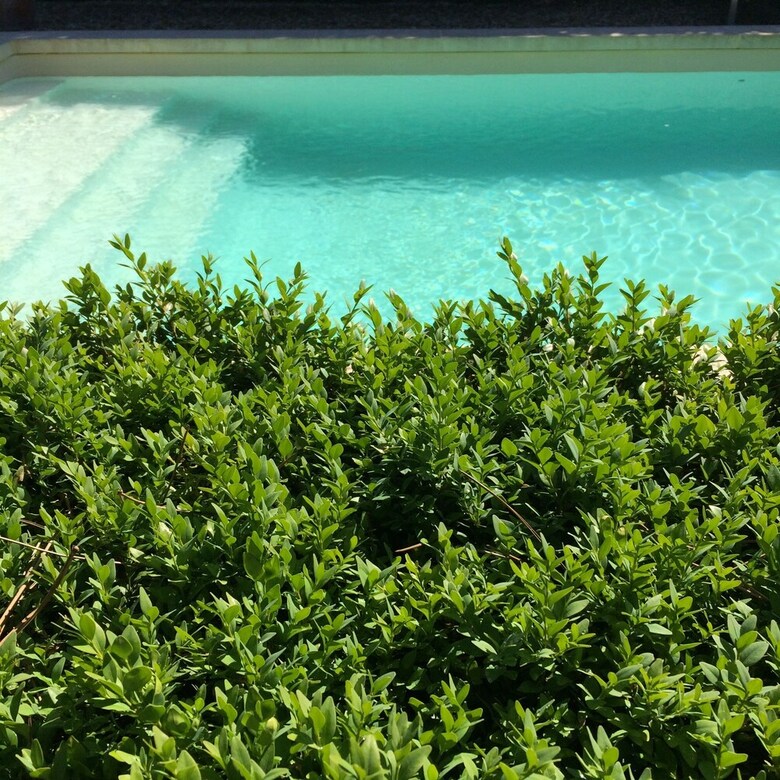 Bed & Breakfast La Ferme Des Sablons