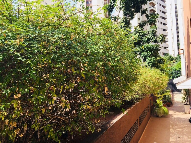 Apartamentos Duplex Vila Nova Concei��o