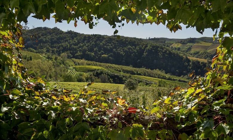 Hotel Agriturismo Il Ciliegio