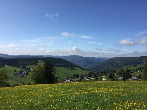 Apartamentos Pension Gl�cklehof