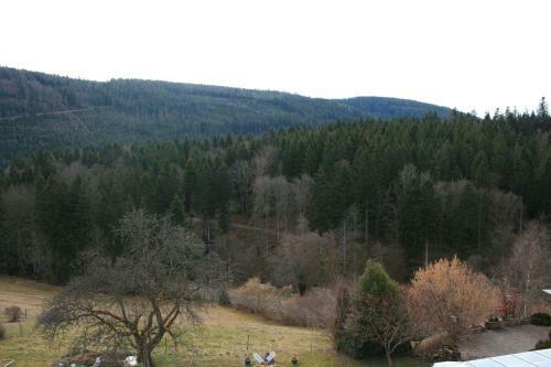 Hotel Schwarzwald-gasthof Hirsch