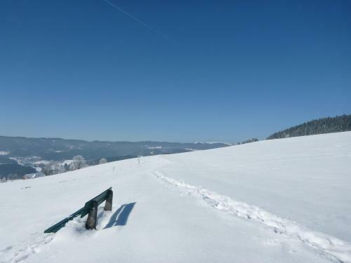 Hostal G�stehaus Hundelbach
