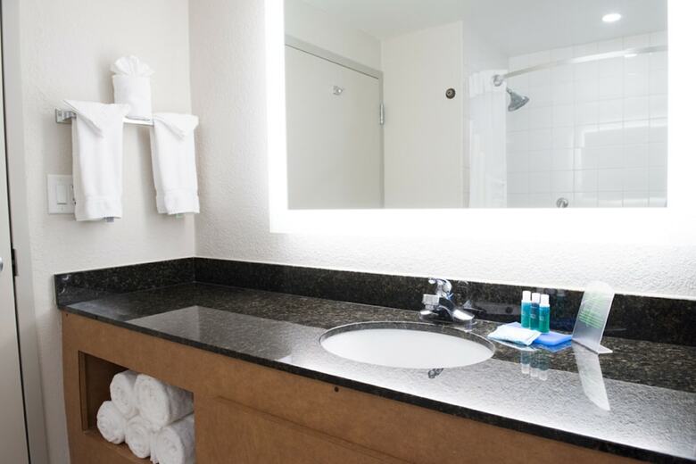 Hotel Holiday Inn Express Moss Point