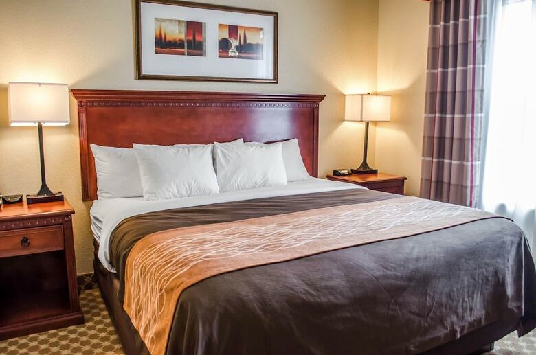 Hotel Comfort Inn & Suites Mobile Near Eastern Shore Centre