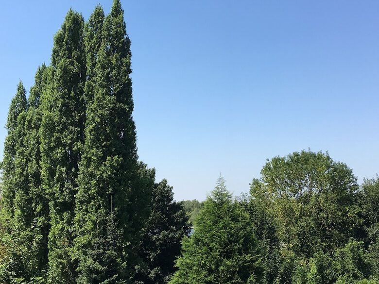 Apartamento Lkp Valenciennes