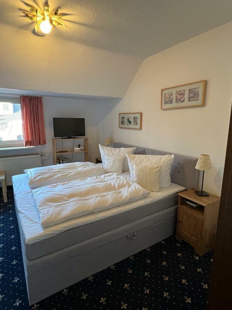 Hostal Hotel Fabritz