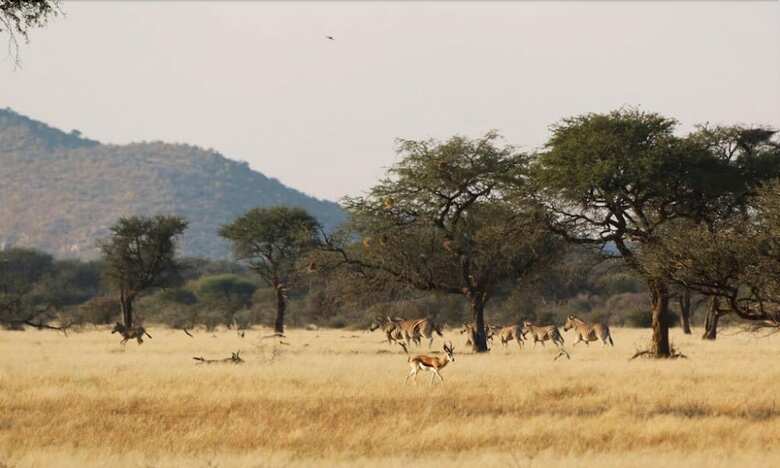 Posada Otjimbondona Kalahari