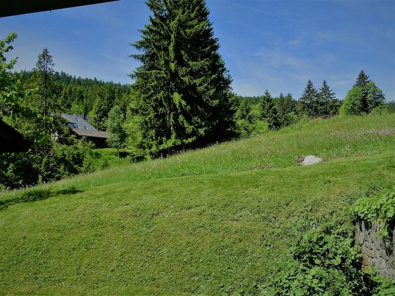 Schwarzwald- Hotel Kr�utle