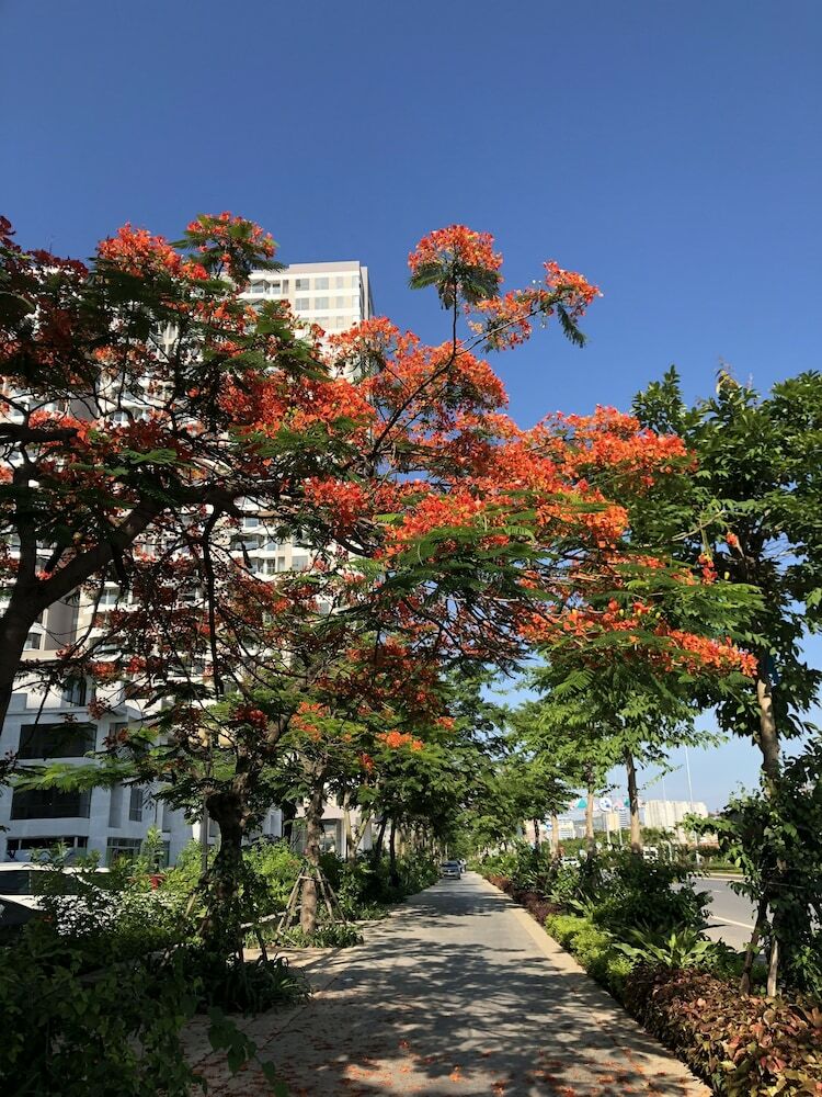 Apartamentos Skybay Hometel Ha Long