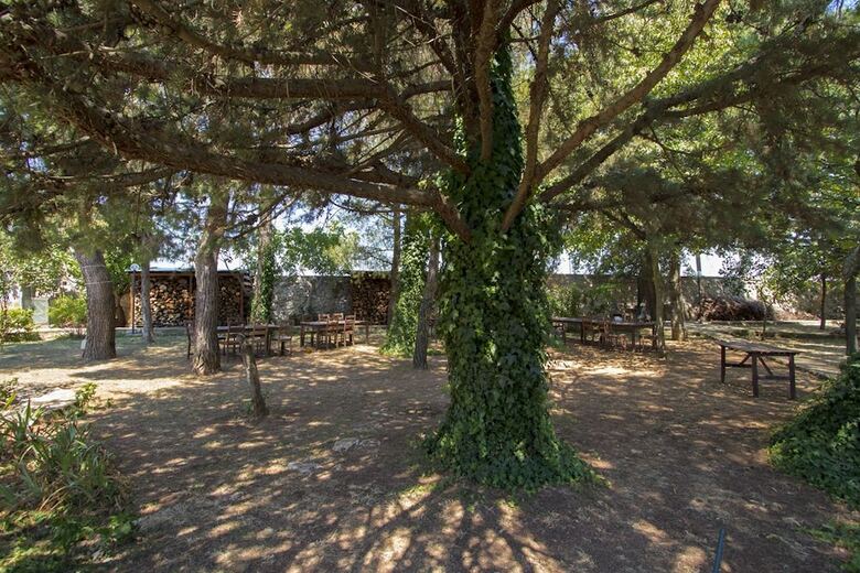 Agroturismo Masseria Citulo - Il Pino Grande