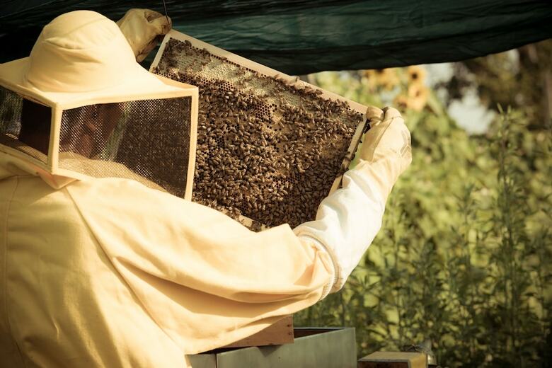 Agroturismo Casa Bassetto