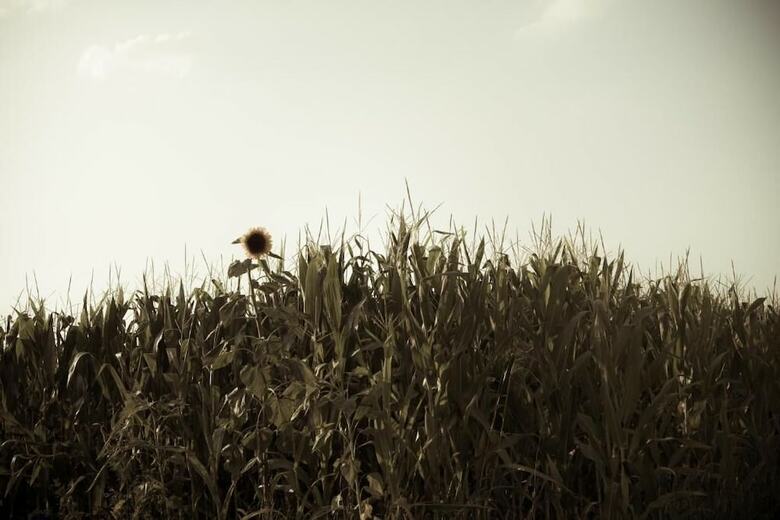 Agroturismo Casa Bassetto