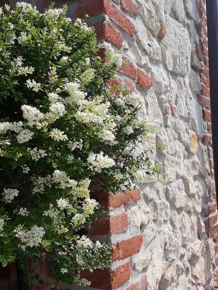 Agroturismo Casa Bassetto