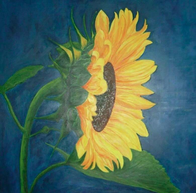 B&B Il Girasole