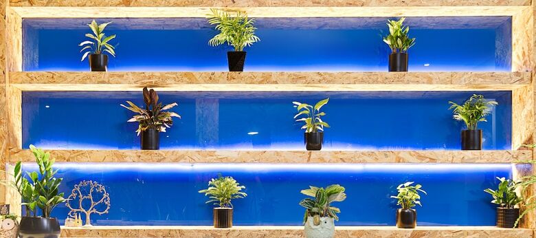 Essenza Hotel & Spa