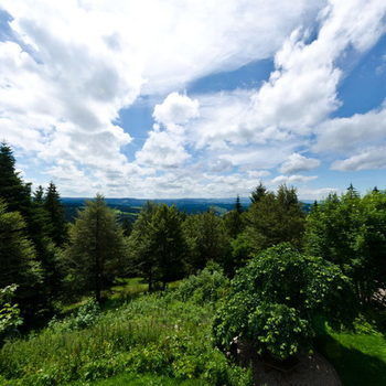 Berggasthof & Hotel Brend
