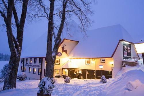 Hostal Gasthaus Zum Hirschen