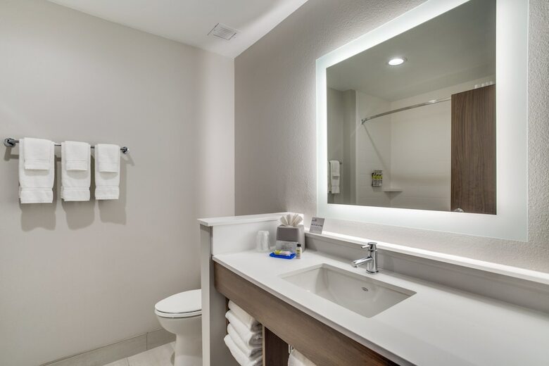 Hotel Holiday Inn Express And Suites Denton South