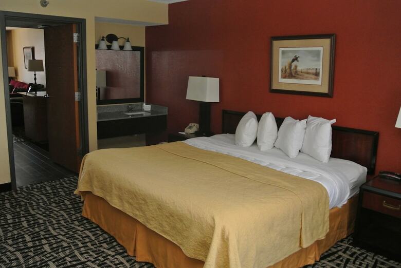 Hotel Quality Inn & Suites Mayo Clinic Area