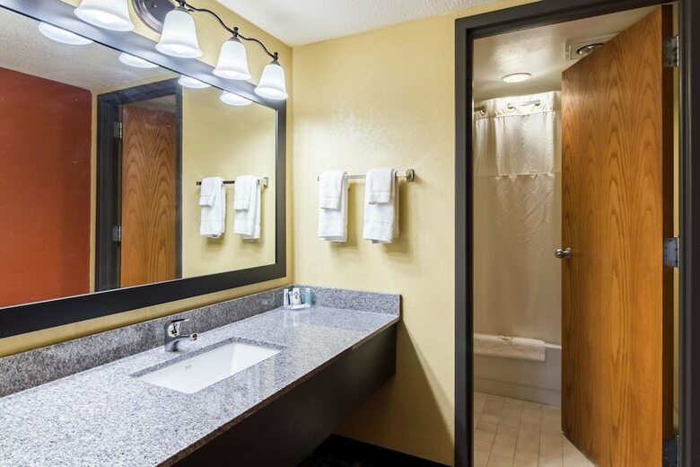 Hotel Quality Inn & Suites Mayo Clinic Area