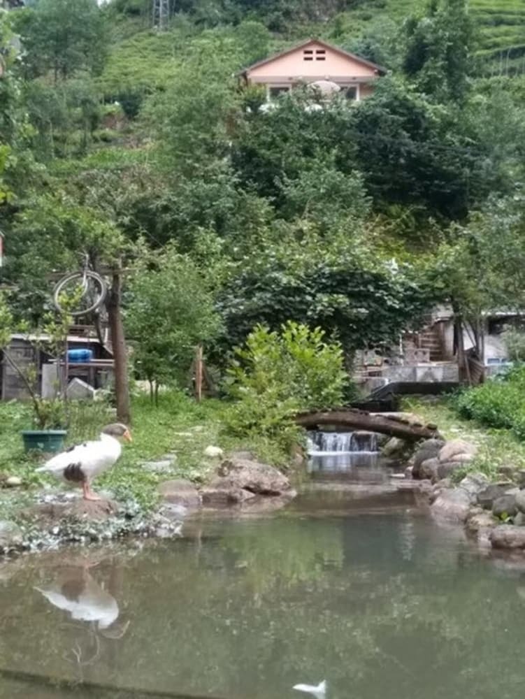 Yesil Doga Tatil Apart