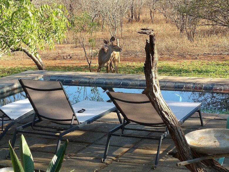 Posada Call Of The Wild Lodge