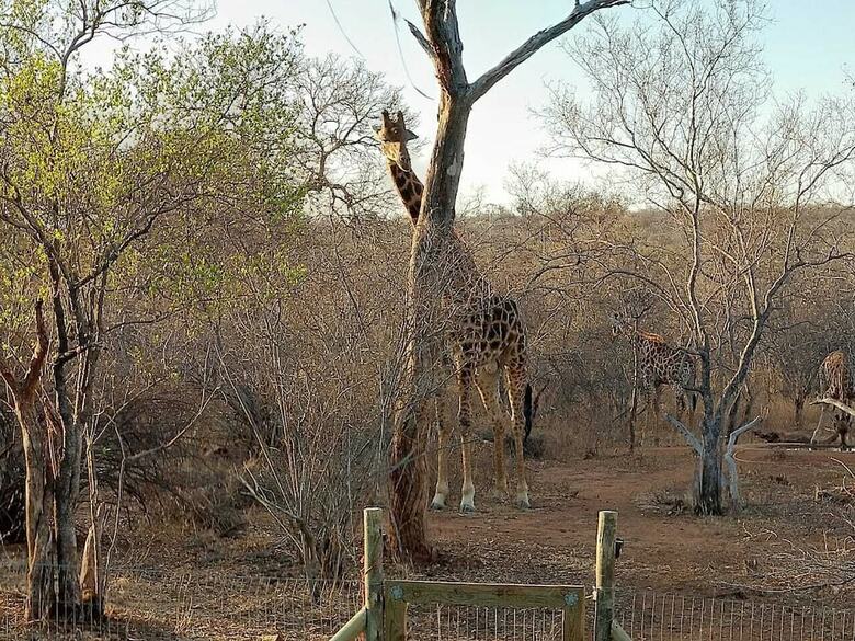 Posada Call Of The Wild Lodge