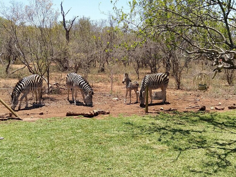 Posada Call Of The Wild Lodge