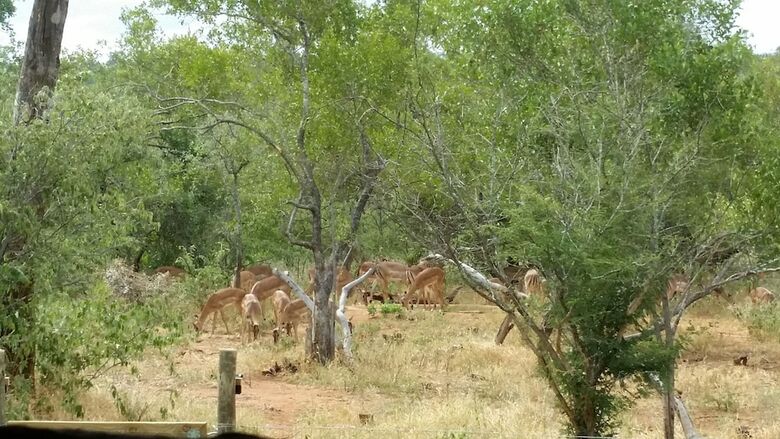 Posada Call Of The Wild Lodge