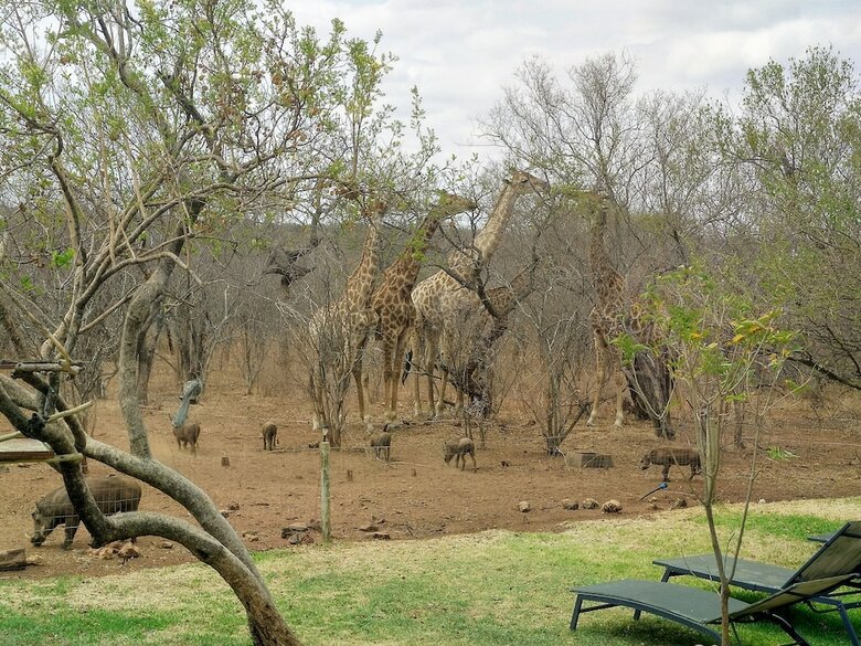 Posada Call Of The Wild Lodge