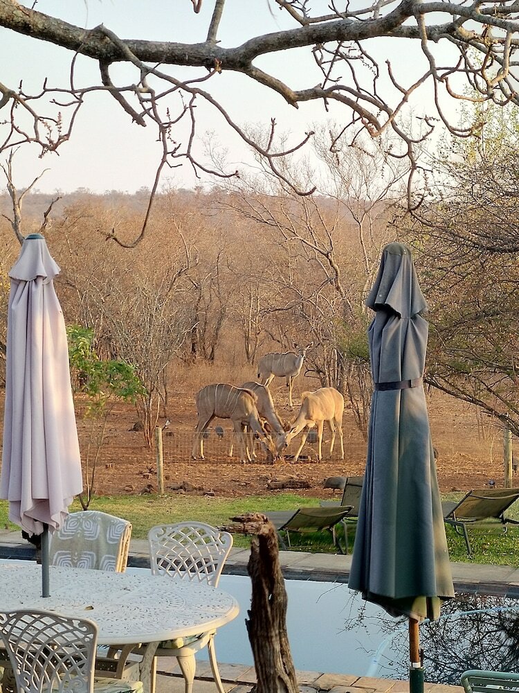 Posada Call Of The Wild Lodge