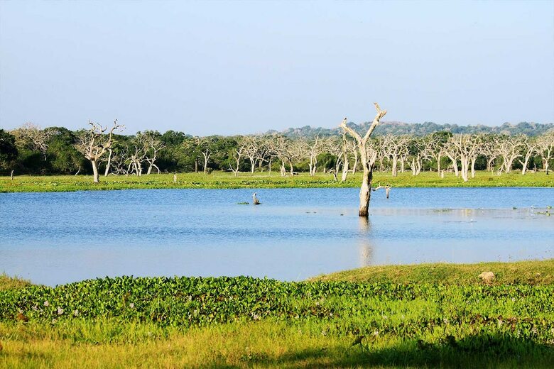 Topan Yala - Air Conditioned Luxury Safari Camp