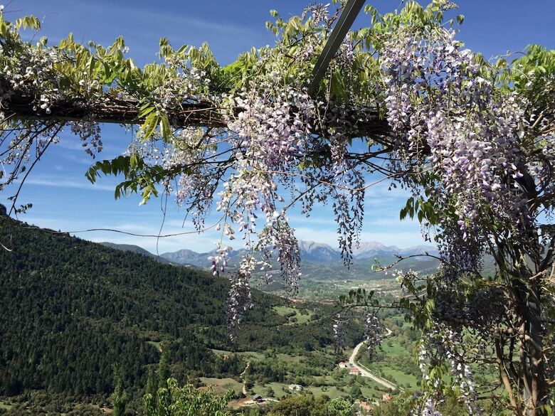 Luxury Chalet Vila With Amazing View