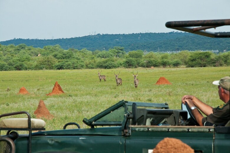 Posada Casart Game Lodge
