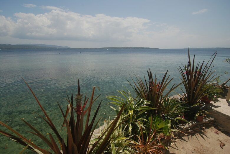 Hotel Rene's Diverslounge Resort