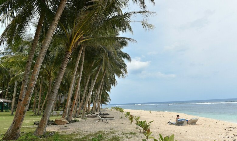 Hotel Pacifico Bigwish Beach Resort
