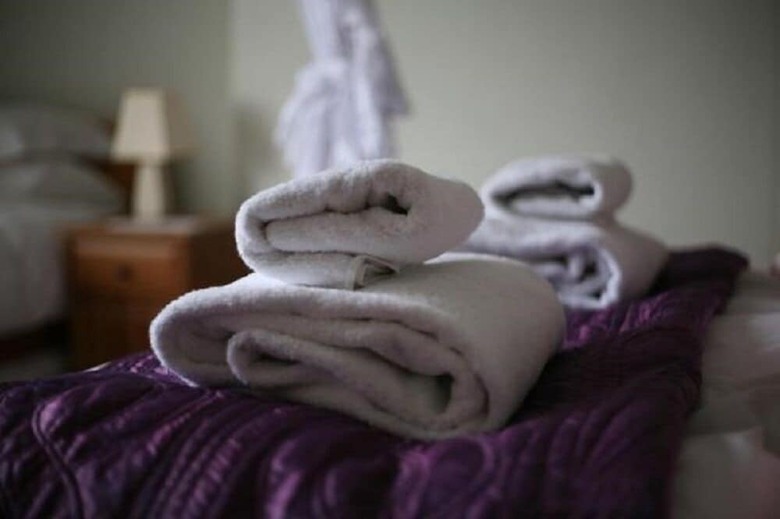 Bed & Breakfast Winton House