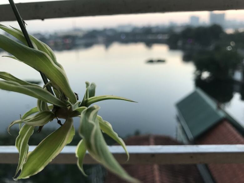 Hotel The Autumn Homestay