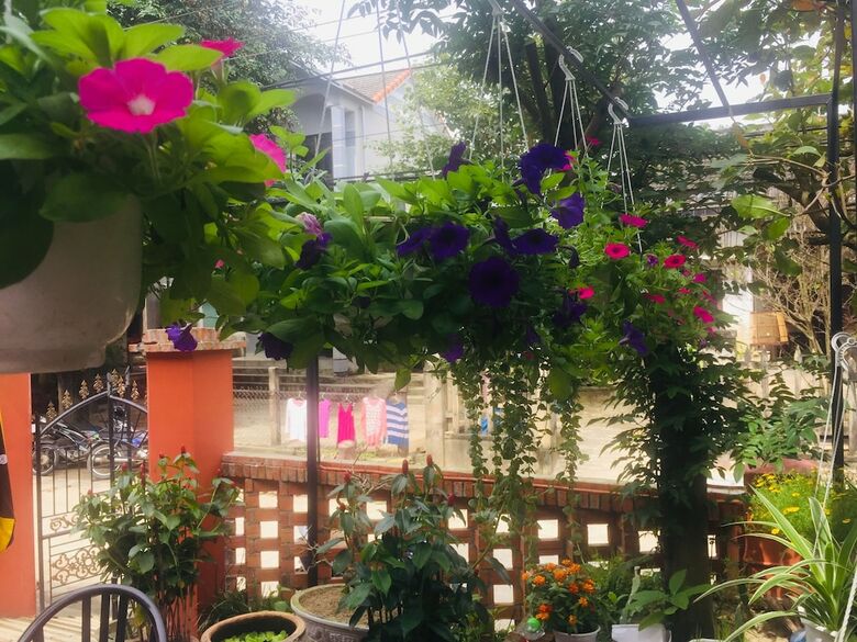Bed & Breakfast New Destination Hoi An Homestay