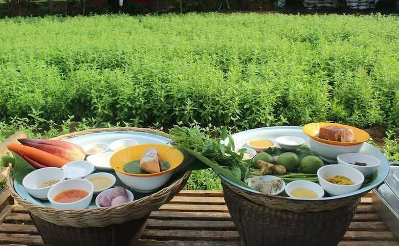 Hotel The Green Home