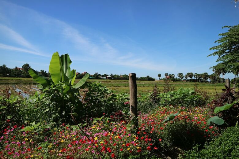 Hotel The Green Home